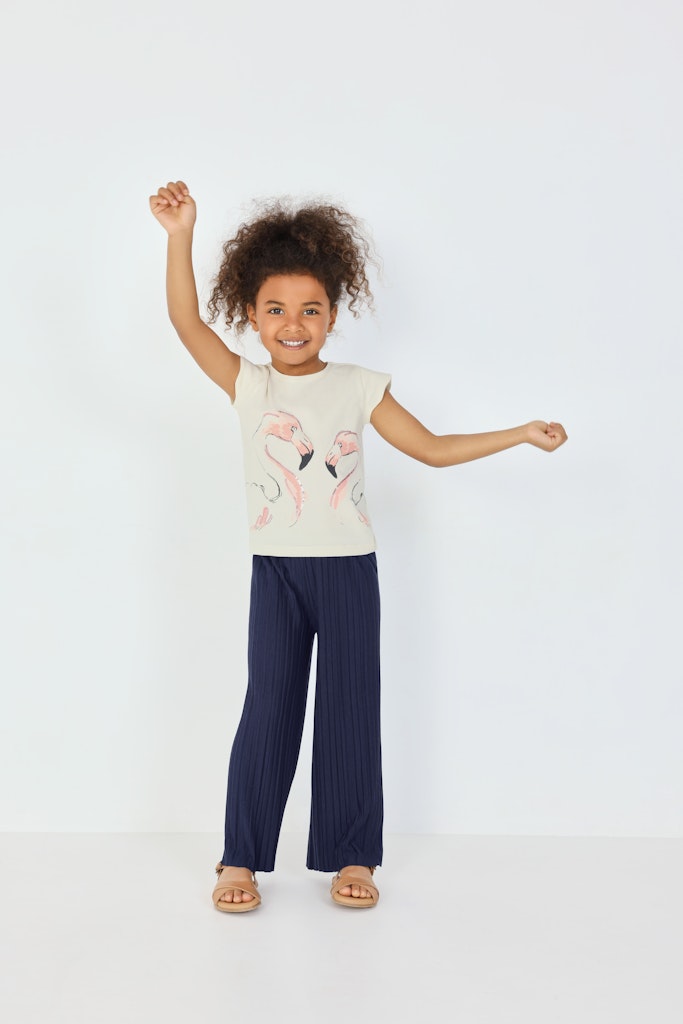 T-Shirt Flamingo 702399