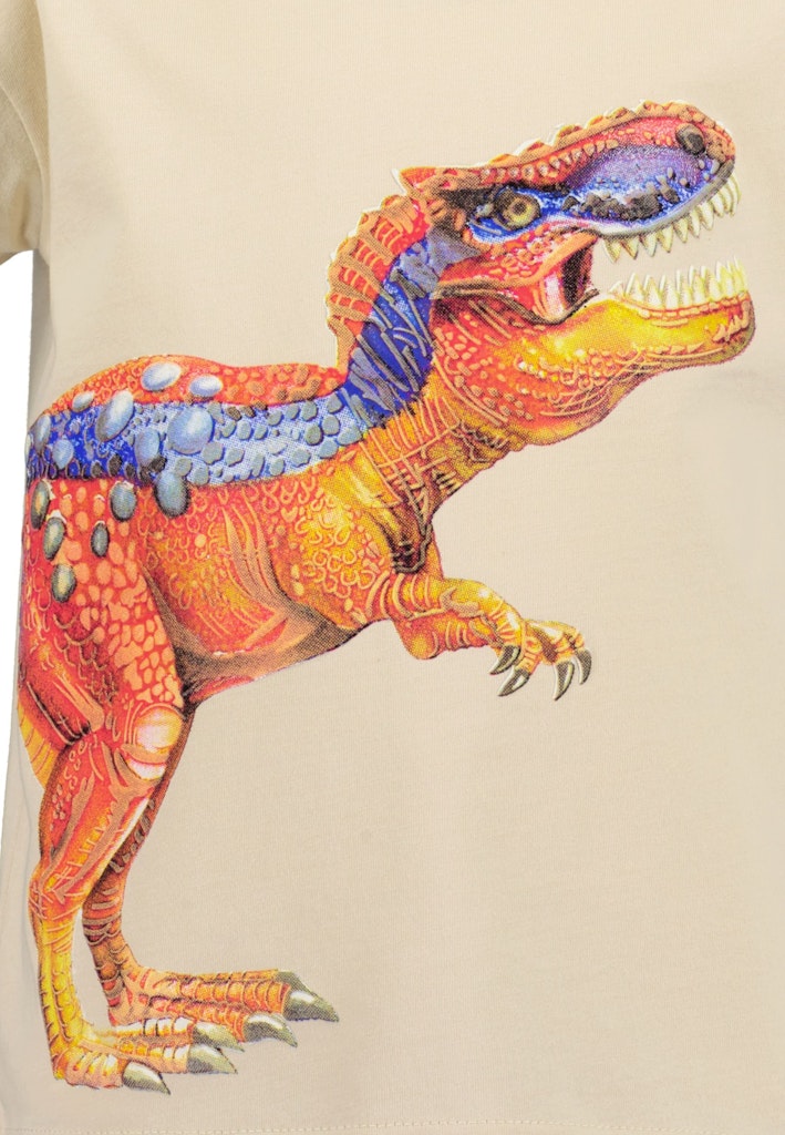 Cooles Dino T-Shirt 802435