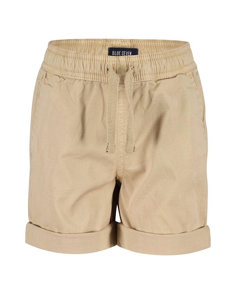 Chino Shorts 837066