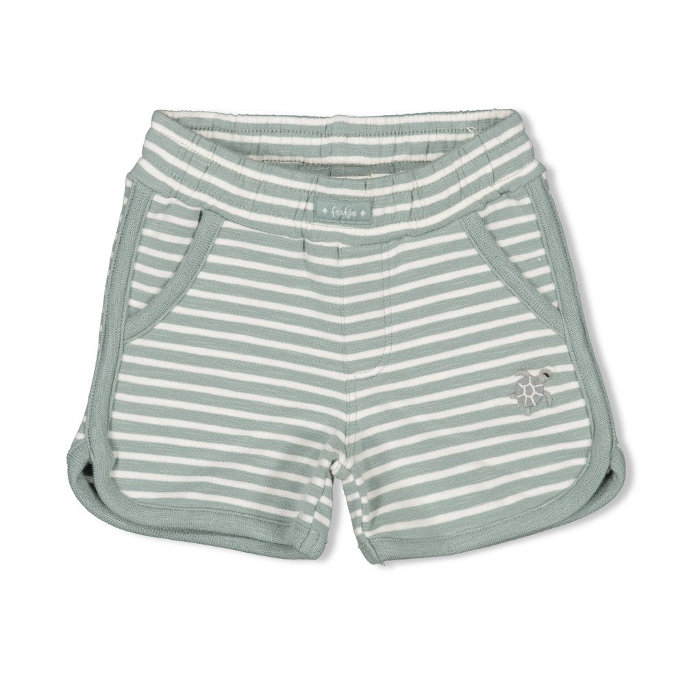 Shorts Turtelly Cool 52100418