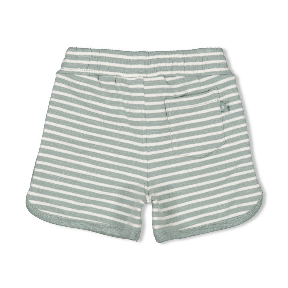 Shorts Turtelly Cool 52100418